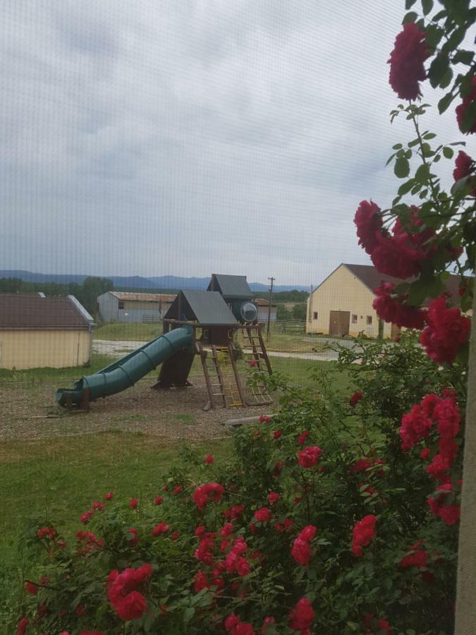 BIO Farma&Penzión Zlatý Hýľ Novacany Exterior foto